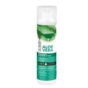 Champú Aloe Vera 250 ml.